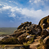 Buy canvas prints of Majestic rocky landscape with sunlit grass under a blue sky with clouds at Brimham Rocks, in North Yorkshire by Man And Life