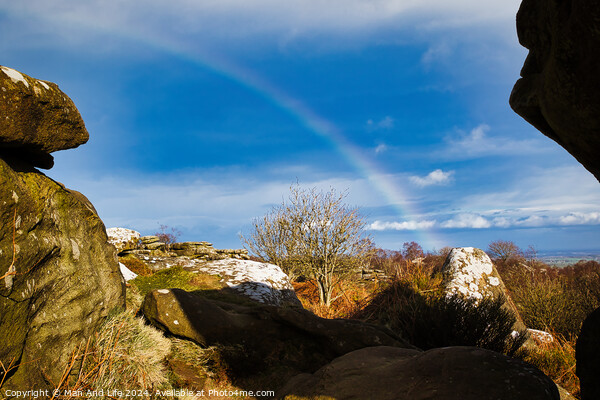 Scenic landscape with a rainbow over a solitary tree, framed by rocky outcrops under a blue sky with clouds at Brimham Rocks, in North Yorkshire Picture Board by Man And Life