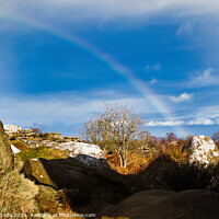 Buy canvas prints of Scenic landscape with a rainbow over a solitary tree, framed by rocky outcrops under a blue sky with clouds at Brimham Rocks, in North Yorkshire by Man And Life