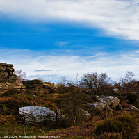 Buy canvas prints of Scenic view of rock formations under a dramatic blue sky with clouds at Brimham Rocks, in North Yorkshire by Man And Life