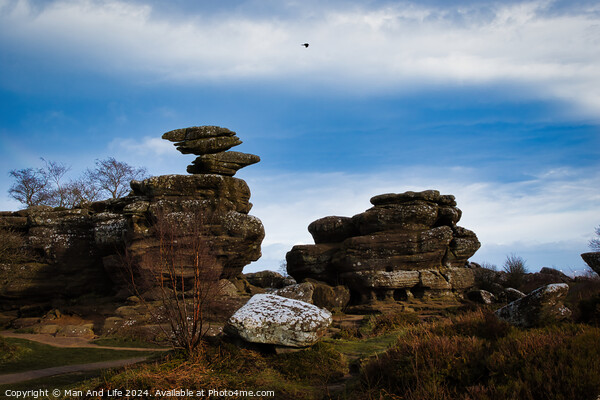 Scenic view of unique rock formations under a blue sky with a solitary bird flying overhead at Brimham Rocks, in North Yorkshire Picture Board by Man And Life