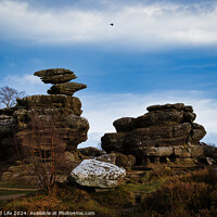 Buy canvas prints of Scenic view of unique rock formations under a blue sky with a solitary bird flying overhead at Brimham Rocks, in North Yorkshire by Man And Life