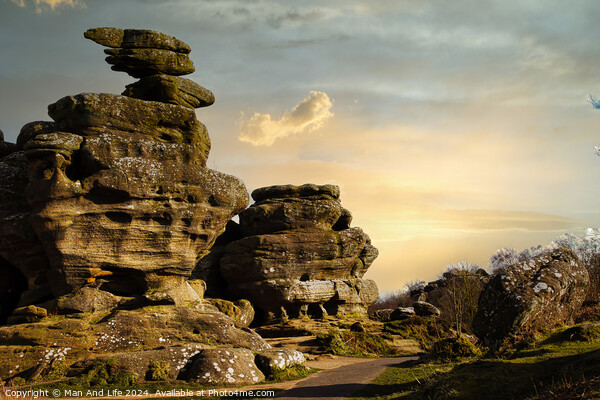 Scenic view of unique rock formations under a golden sunset sky with lush greenery in the foreground at Brimham Rocks, in North Yorkshire Picture Board by Man And Life