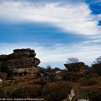 Buy canvas prints of Scenic view of rugged rock formations amidst wild heath under a cloudy sky at Brimham Rocks, in North Yorkshire by Man And Life