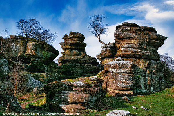 Scenic view of weathered rock formations with a solitary tree against a blue sky with clouds at Brimham Rocks, in North Yorkshire Picture Board by Man And Life