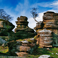 Buy canvas prints of Scenic view of weathered rock formations with a solitary tree against a blue sky with clouds at Brimham Rocks, in North Yorkshire by Man And Life
