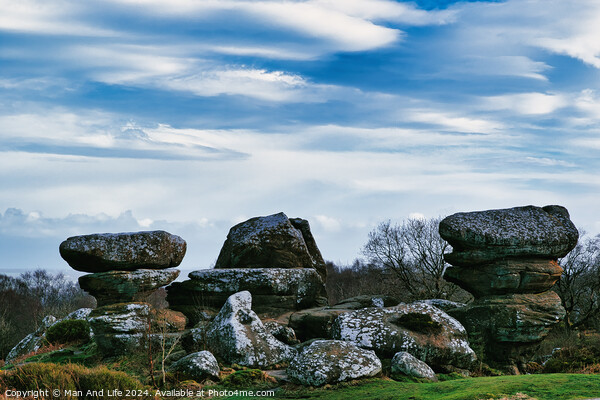 Scenic view of unique rock formations with moss under a cloudy sky in a lush green landscape at Brimham Rocks, in North Yorkshire Picture Board by Man And Life