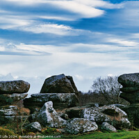 Buy canvas prints of Scenic view of unique rock formations with moss under a cloudy sky in a lush green landscape at Brimham Rocks, in North Yorkshire by Man And Life