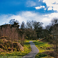 Buy canvas prints of Scenic pathway through a lush park with rocky outcrops and vibrant blue sky with fluffy clouds at Brimham Rocks, in North Yorkshire by Man And Life