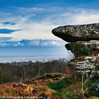 Buy canvas prints of Scenic view of a unique rock formation in a lush landscape with dramatic clouds in the sky at Brimham Rocks, in North Yorkshire by Man And Life
