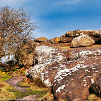 Buy canvas prints of Scenic view of a rocky outcrop with lichen spots, a leafless tree, and a clear blue sky in the countryside at Brimham Rocks, in North Yorkshire by Man And Life