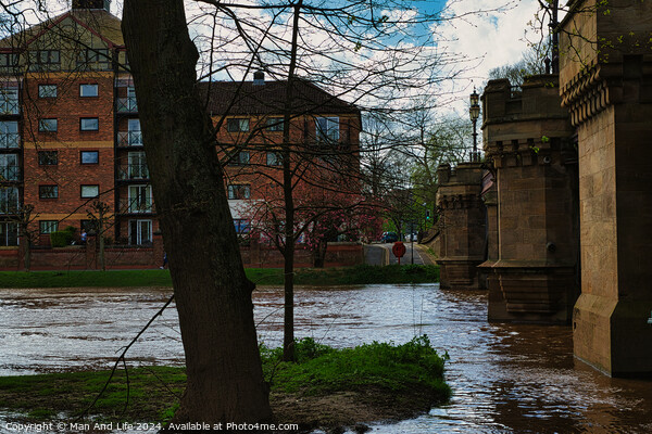 Urban riverside scene with swollen river waters, lush greenery, and a backdrop of modern residential buildings, showcasing the contrast between nature and urban development in York, North Yorkshire, England. Picture Board by Man And Life