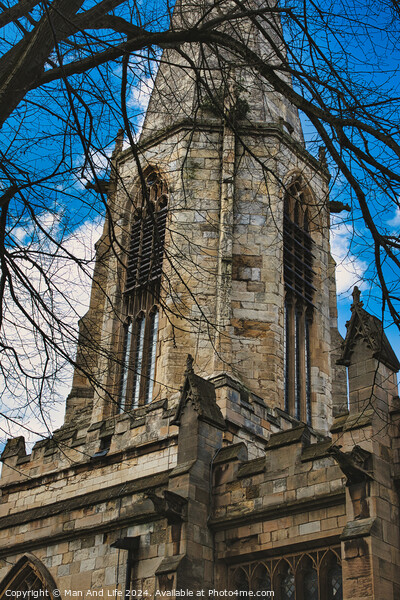 Gothic church tower with intricate stone details, framed by bare tree branches against a blue sky with fluffy clouds in York, North Yorkshire, England. Picture Board by Man And Life