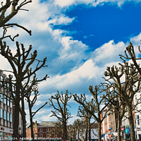Buy canvas prints of Leafless trees line a vibrant urban street with colorful buildings under a blue sky with fluffy clouds, creating a stark contrast between nature and city life in York, North Yorkshire, England. by Man And Life
