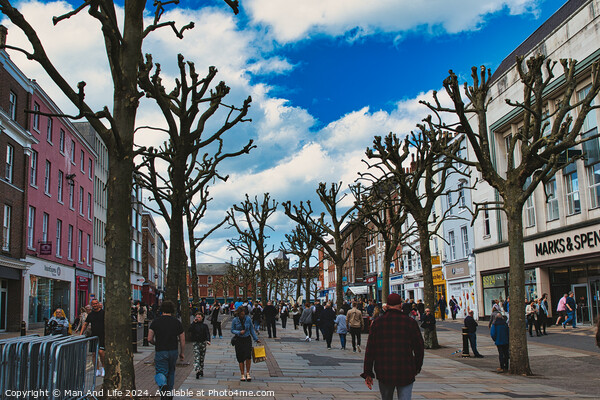 Vibrant city street bustling with pedestrians, lined with leafless pruned trees against a dynamic blue sky with fluffy clouds, showcasing urban life and seasonal change in York, North Yorkshire, England. Picture Board by Man And Life