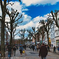 Buy canvas prints of Vibrant city street bustling with pedestrians, lined with leafless pruned trees against a dynamic blue sky with fluffy clouds, showcasing urban life and seasonal change in York, North Yorkshire, England. by Man And Life