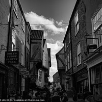 Buy canvas prints of Black and white image of a bustling narrow street in York, with historic buildings, quaint shops, and pedestrians exploring the charming old town in York, North Yorkshire, England. by Man And Life