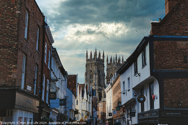 Quaint European street leading to a majestic Gothic cathedral under a dramatic sky at dusk, showcasing historical architecture and urban charm in York, North Yorkshire, England. Picture Board by Man And Life