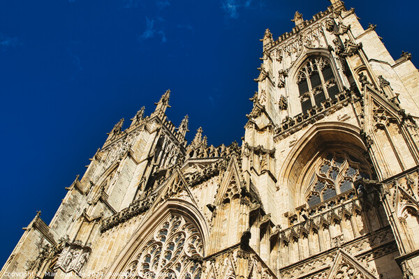 Gothic cathedral facade against a clear blue sky, showcasing intricate architectural details and stone carvings, perfect for historical and travel themes in York, North Yorkshire, England. Picture Board by Man And Life