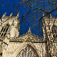 Buy canvas prints of Gothic cathedral facade with intricate architecture and blue sky background, framed by bare tree branches in York, North Yorkshire, England. by Man And Life