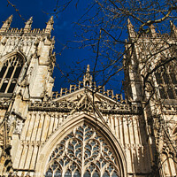 Buy canvas prints of Gothic cathedral facade with intricate architecture and blue sky background, framed by bare tree branches in York, North Yorkshire, England. by Man And Life