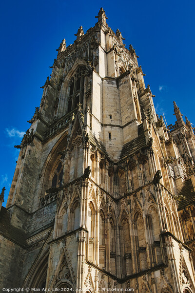Gothic cathedral facade with intricate architecture against a clear blue sky, showcasing historical religious building's exterior details in York, North Yorkshire, England. Picture Board by Man And Life