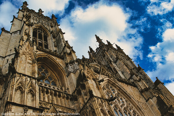 Dramatic angle of a Gothic cathedral's facade with intricate stone carvings against a vivid blue sky with fluffy clouds, showcasing architectural grandeur and historical elegance in York, North Yorkshire, England. Picture Board by Man And Life