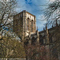 Buy canvas prints of Majestic medieval cathedral with Gothic architecture, towering amidst leafless trees under a blue sky with fluffy clouds, ideal for historical or travel themes in York, North Yorkshire, England. by Man And Life
