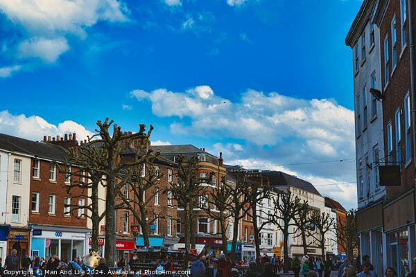 Bustling city street scene with pedestrians, unique pruned trees under a blue sky with clouds, and historic buildings, capturing the essence of urban life in York, North Yorkshire, England. Picture Board by Man And Life
