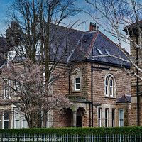 Buy canvas prints of Traditional stone houses with slate roofs surrounded by bare trees and early spring blossoms under a clear blue sky in Harrogate, North Yorkshire. by Man And Life