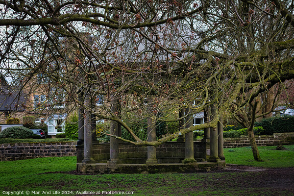 Tranquil park scene with bare-branched trees in early spring, showcasing a rustic stone bench beneath, on a carpet of green grass, with residential buildings in the background in Harrogate, North Yorkshire. Picture Board by Man And Life