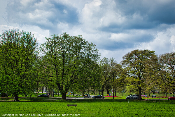Serene Park Scene in Harrogate ,North Yorkshire Picture Board by Man And Life