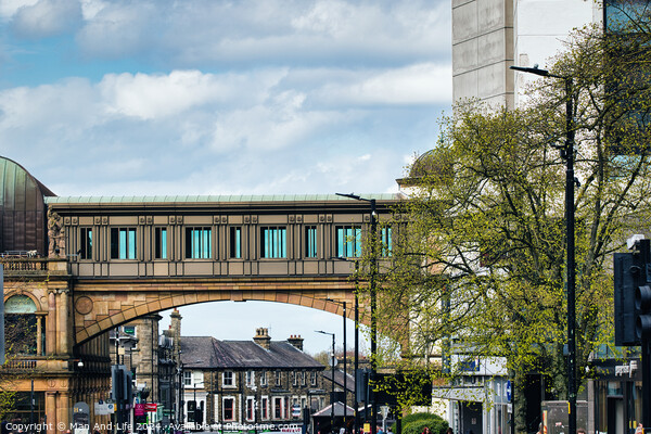 Urban Blend: Train Over Pedestrian Bridge in Harrogate, North Yorkshire Picture Board by Man And Life