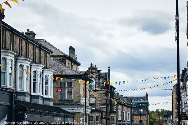Festive Town Street View in Harrogate, North Yorkshire Picture Board by Man And Life