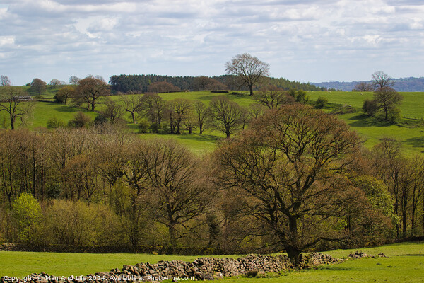 Verdant Countryside Panorama in North Yorkshire, England Picture Board by Man And Life