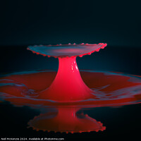 Buy canvas prints of Splash of red by Neil McKenzie