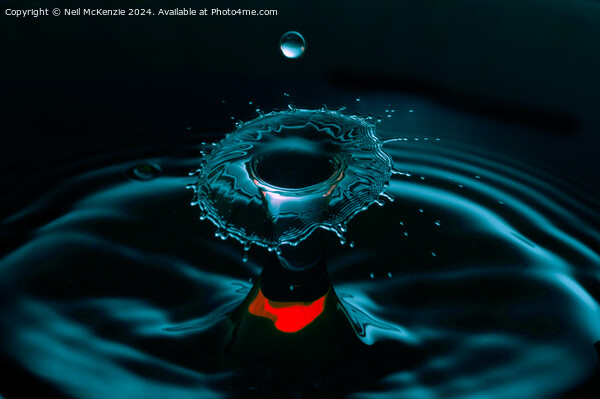 Splash of water rebounding  Picture Board by Neil McKenzie