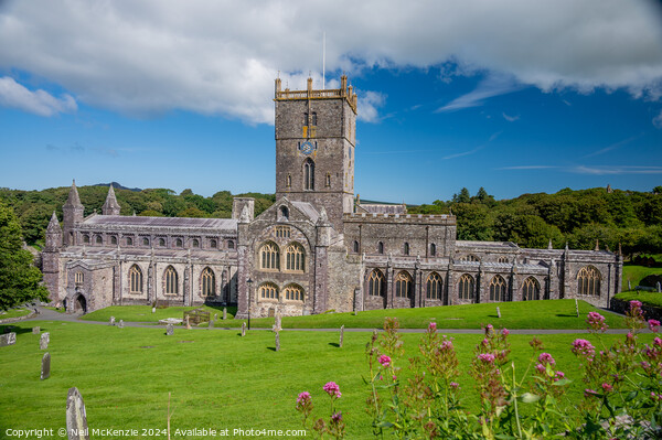 St Davids Cathedral  Picture Board by Neil McKenzie