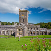 Buy canvas prints of St Davids Cathedral  by Neil McKenzie