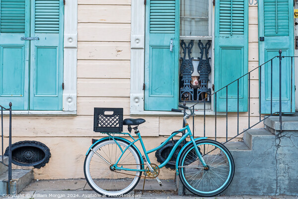 Historic New Orleans French Quarter Home in Pastel Blue and Beige with Bicycle and Dogs Picture Board by William Morgan