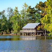Buy canvas prints of Cabin at Lake Fausse Pointe in Louisiana by William Morgan