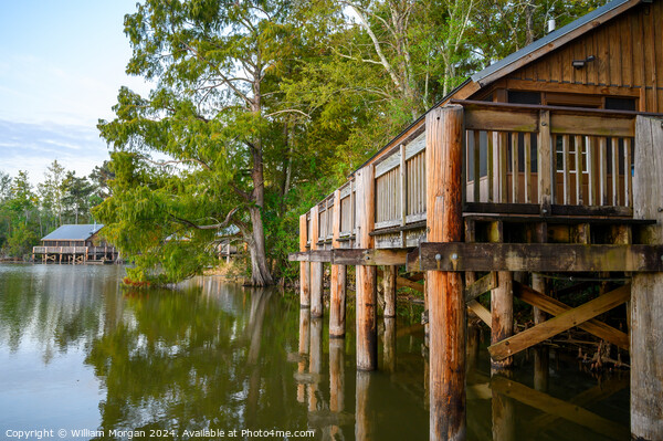 Cabins and Trees along Lake Fausse Pointe in Louisiana, USA Picture Board by William Morgan