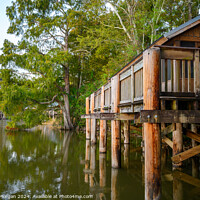 Buy canvas prints of Cabins and Trees along Lake Fausse Pointe in Louisiana, USA by William Morgan