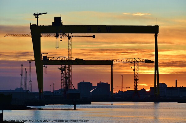 Belfast Harland and Wolff Cranes Picture Board by ANDY MORROW