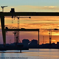 Buy canvas prints of Belfast Harland and Wolff Cranes by ANDY MORROW