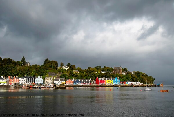 Tobermory Isle of Mull Scotland Picture Board by ANDY MORROW