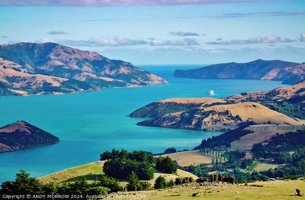 Akaroa Hardour Christchurch South Island New Zealand Picture Board by ANDY MORROW