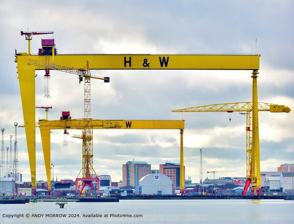 Harland and Wolff Cranes, Belfast Skyline Picture Board by ANDY MORROW