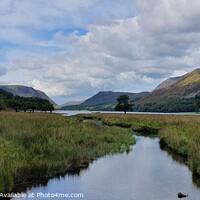Buy canvas prints of Buttermere Beauty of the Lakes by Dawn Francis