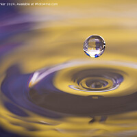 Buy canvas prints of Water Droplet by John Parker